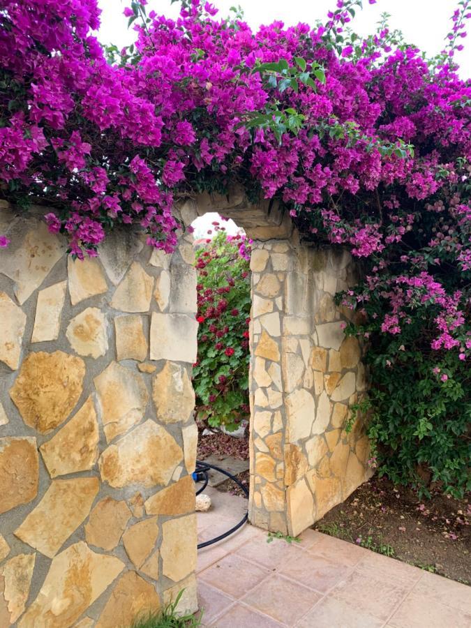 Villa Sunlight Sardegna Capitana Buitenkant foto
